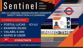 Anunturi UK Promotie Sentinel WSSI (Lucas)